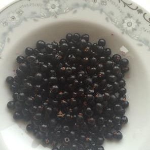 Berin sem Dagmar týndi ofan við Þrastastaði á mánudaginn brögðuðust að sögn prýðilega.