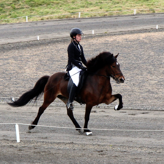 Hér eru þær Birna Olivia Ödqvist og Ósvör frá Lækjamóti á keppnisbrautinni í dag. Mynd PF.
