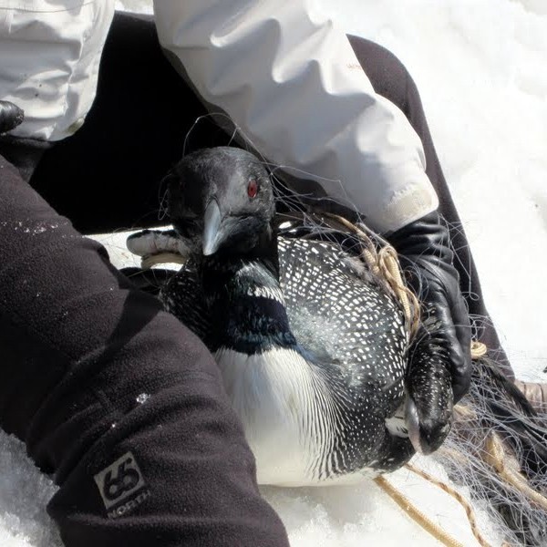 Veiðiferð varð að björgunarleiðangri