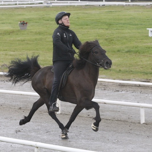 Bjarni Bjarnason og Hera frá Þóroddsstöðum á skeiðsspretti. Mynd: eidfaxi.is.