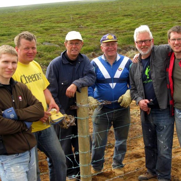 Gróðursetja rúmlega 3.000 kynbættar birkiplöntur