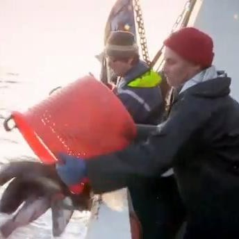 Kastæfingar Tindastóls og Smára