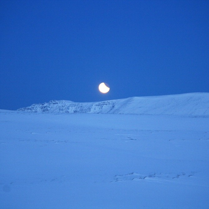 Deildarmyrkvinn sást vel á Norðurlandi