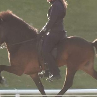 Líkamlegt álag kynbótahrossa við reiðdóm