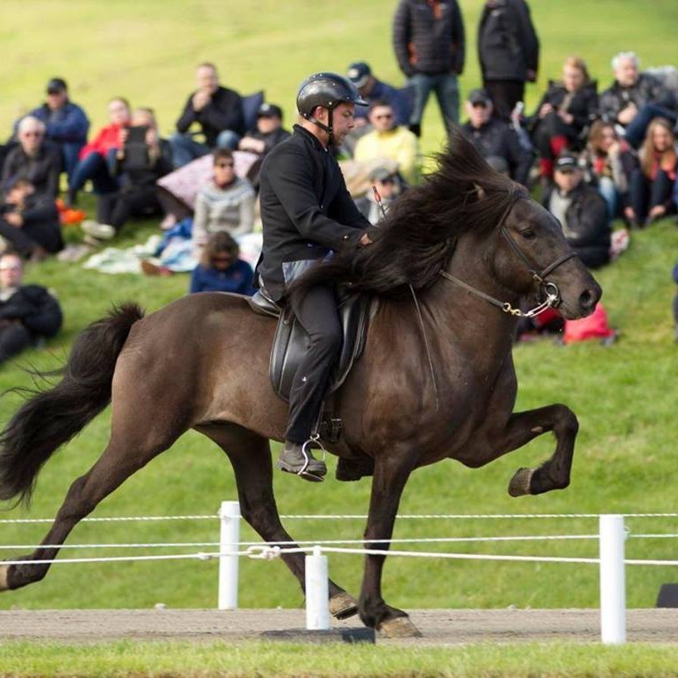 Hans Þór Hilmarsson á Dofra frá Sauðárkróki/Mynd: Óðinn Örn
