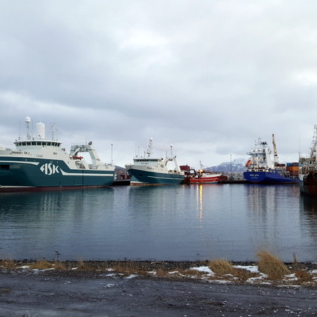 Í lok þriðju viku janúar verður farið í prufutúr á Drangey þar sem spilbúnaður og millidekksbúnaður verður prófaður. Myndin tekin á Þorláksmessu af nokkrum skipum í Sauðárkrókshöfn. /PF