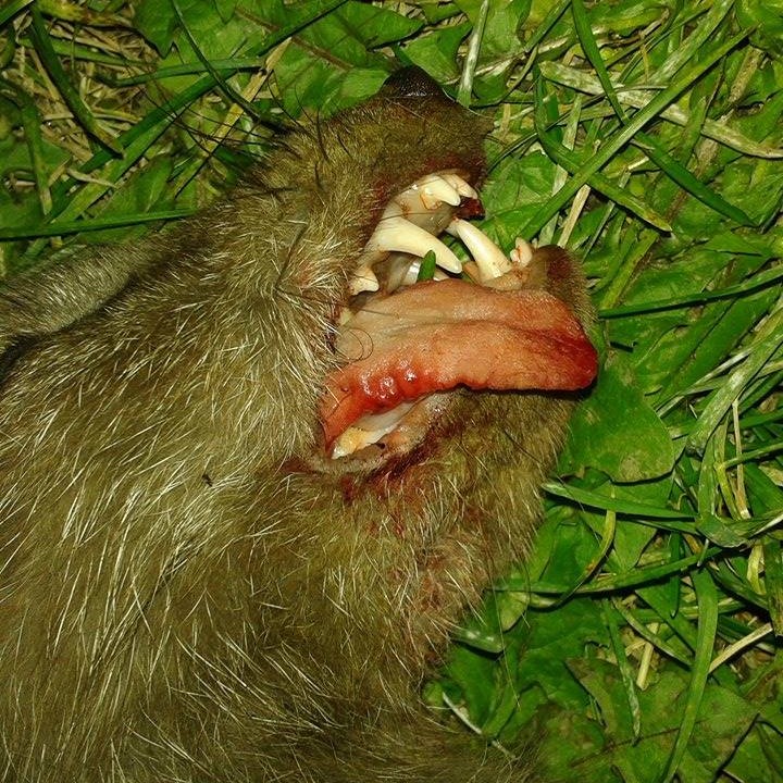 Mynd: Garðar Páll Jónsson