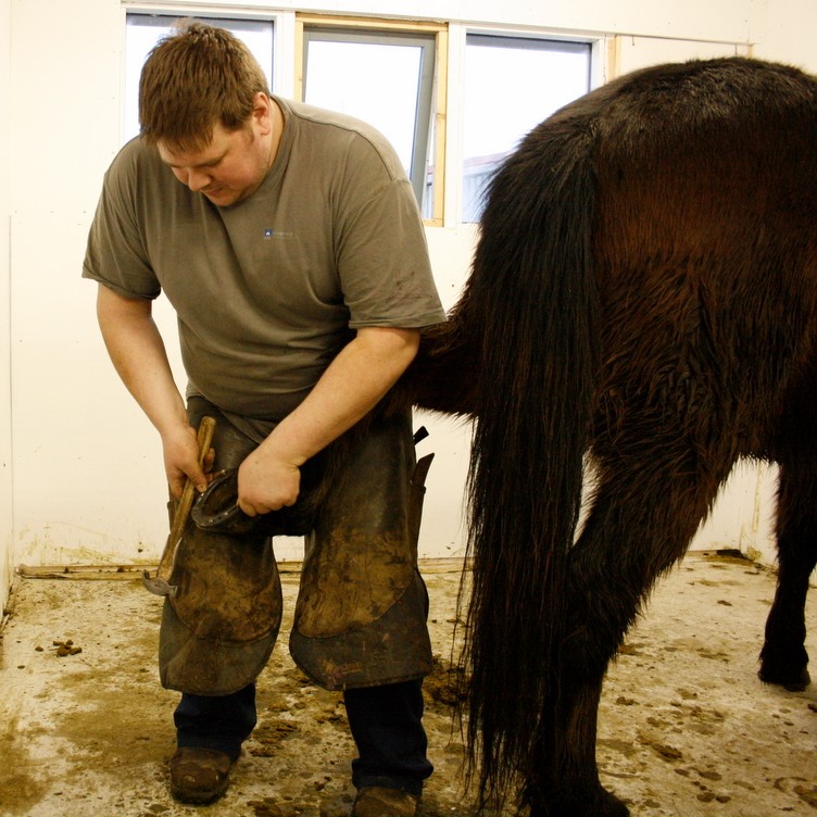 Járningafræðsla í Tjarnarbæ