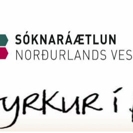 Er styrkur í þér?