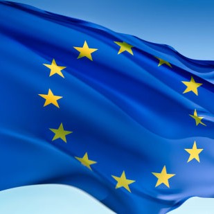 Vilja fund vegna aðkomu framkvæmdastjórnar ESB að málarekstri ESA gegn Íslandi