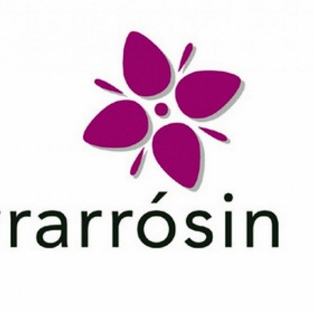 Umsóknarfrestur um Eyrarrósina til 15. nóvember