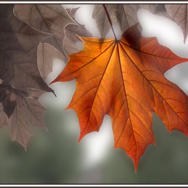 Huggulegar haustlaufaskreytingar