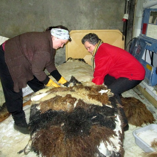 Árangursmat vegna samstarfs við N4 um kynningarverkefni á Norðurlandi vestra