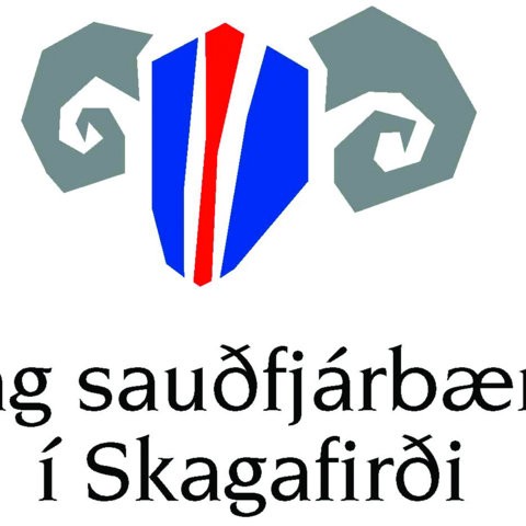 Spjallfundir FSS