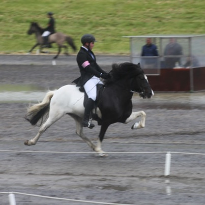 Sigurvegarar í A-úrslitum T3 ungmenna voru heimsmeistaramótsfararnir þeir Finnbogi Bjarnason og Randalín frá Efri-Rauðalæk. Mynd: Sigurlína Erla
