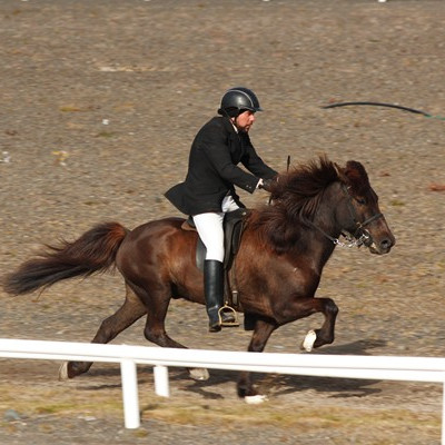 Finnur Bessi Svavarsson og Gosi frá Staðartungu. Mynd: Þytur.