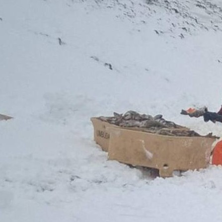 Frá björgunaraðgerð við Hraun í Fljótum. Mynd: mbl.is/Baldur Ingi Baldursson.