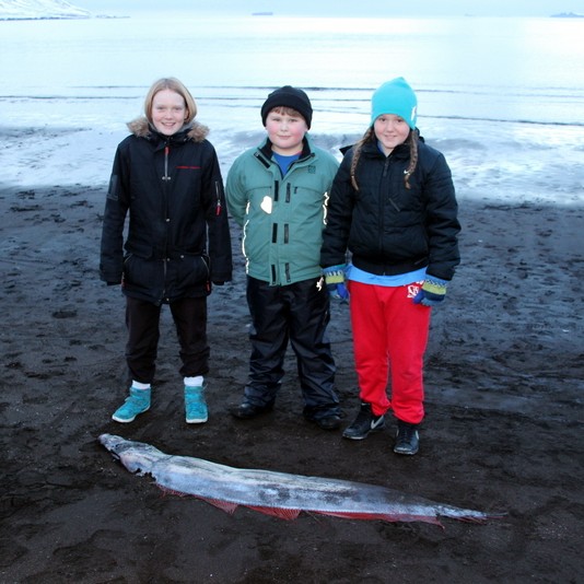 Fjaran uppspretta ævintýra