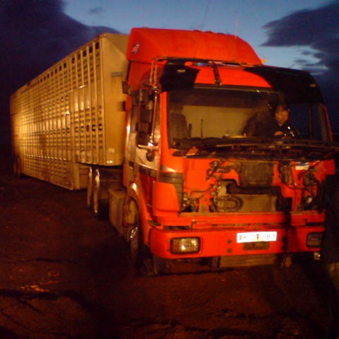 Flutningsjöfnunarstyrkir fyrir landsbyggðina