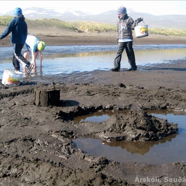 Fjör í fjöruferð