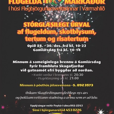 Rétt símanúmer á pósthúsi jólasveinanna í Varmahlíð er 892-3573.