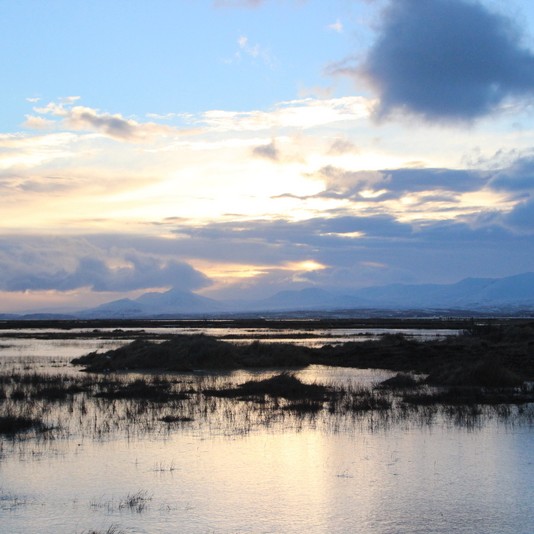 Hægviðri og þýða í kortunum