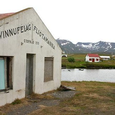 Æðarvarp í Haganesvík friðlýst