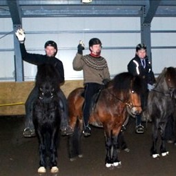 Glæsileg fimmgangskeppni á föstudagskvöldinu