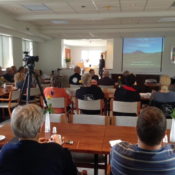 „Samþykkjum aldrei loftlínu“