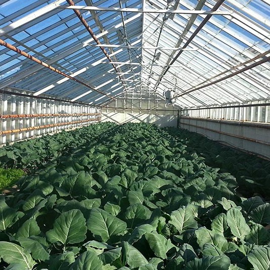 Nám í lífrænni ræktun