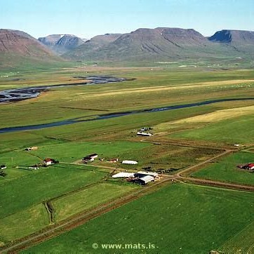 Vistmenn Háholts réðust á starfsmann og struku