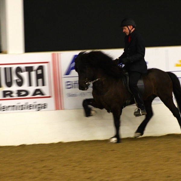 Gísli Gíslason og Trymbill sigruðu í gæðingafimi