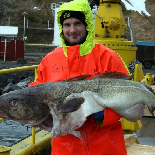Mikið um óhrein löndunarkör