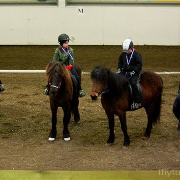 Ráslistar fyrir Grunnskólamót hestamannafélaganna á NLV