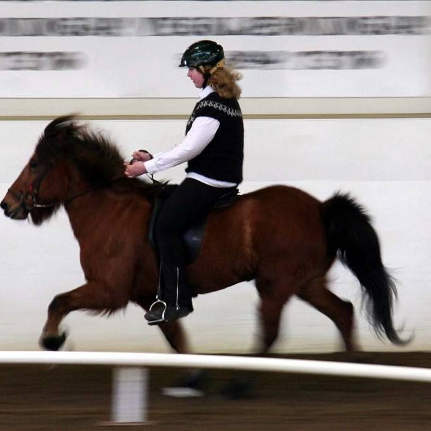 Úrslit fyrsta Grunnskólamóts