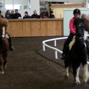 Grunnskólamótið hefst um næstu helgi