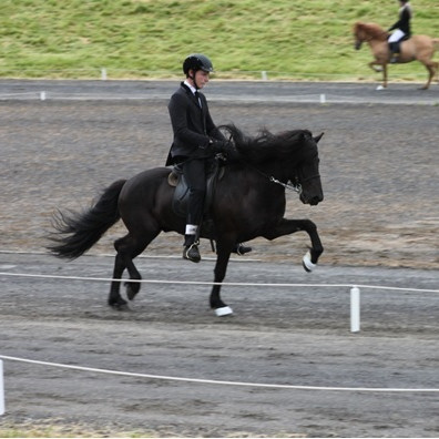 Guðmar Freyr og Hrafnfaxi frá Skeggstöðum Mynd: Sigurlína Erla
