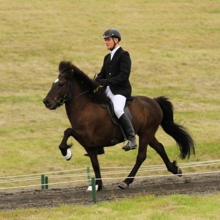 Gústaf Ásgeir og Póstur frá Litla-Dal leiða keppni í ungmennaflokki á Landsmóti hestanna á Hólum í Hjaltadal. Mynd: hestafrettir.is.