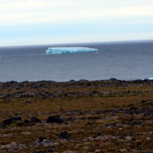 Ísjaki á Skagafirði