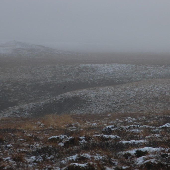 Úr Miðfirði. Mynd: BÞ