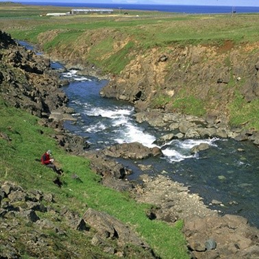 Laxinn stökk sjálfur í land í Hallá