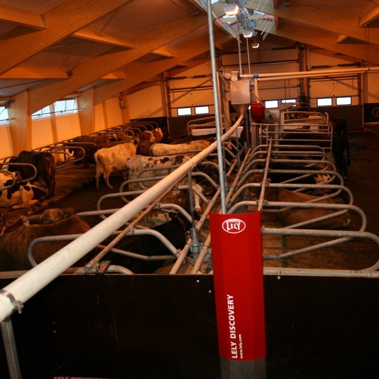 Vorferð húnvetnskra kúabænda