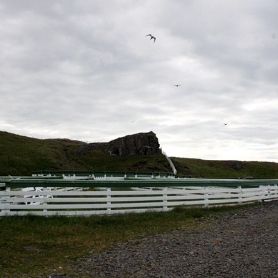 Kaffihús í Hamarsbúð á Vatnsnesi í sumar