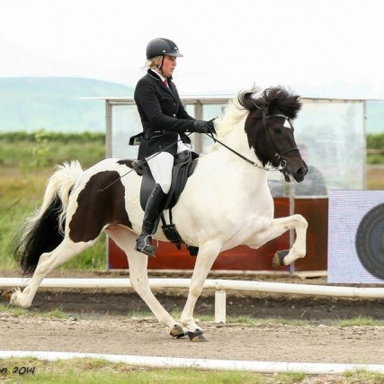 Helga Una Björnsdóttir og Sending frá Kjóastöðum. Mynd: hestafrettir.is.