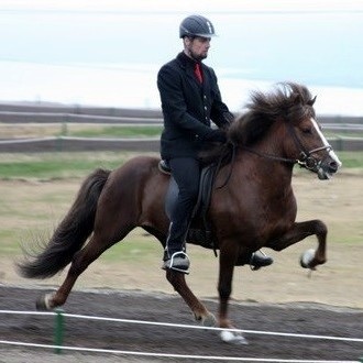 Leysingjastaðir Ræktunarbú  ársins 2013 í Austur-Húnavatnssýslu