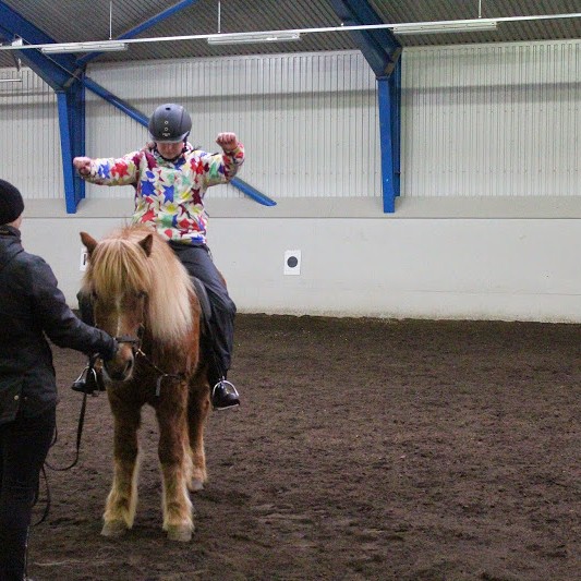 Hestadagar grunnskólanemenda á Hólum