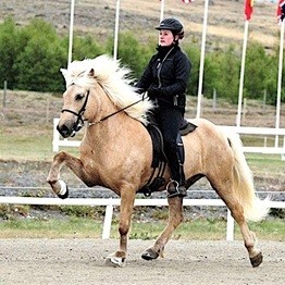 Frá æfingum til afkasta -Yfirferð þriggja ára háskólanáms í reiðmennsku-