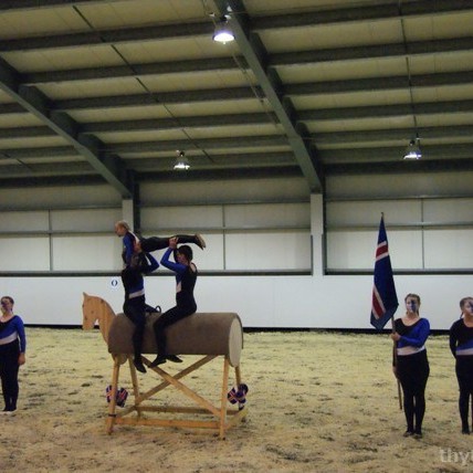 Sirkus Voltivóila á Hvammstanga