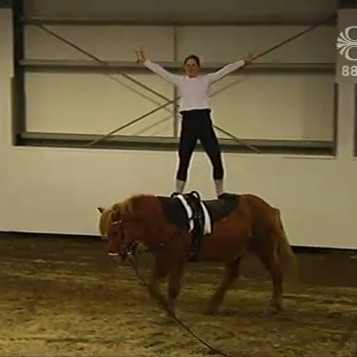 Hestaleikfimi í Landanum