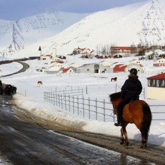 Reiðnámskeið fyrir almenning